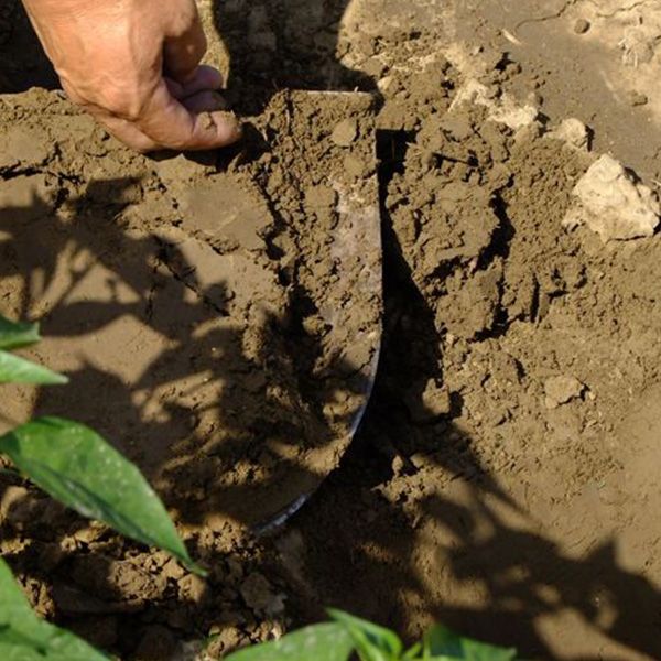 土壤和水系沉積物檢測